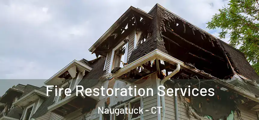  Fire Restoration Services Naugatuck - CT