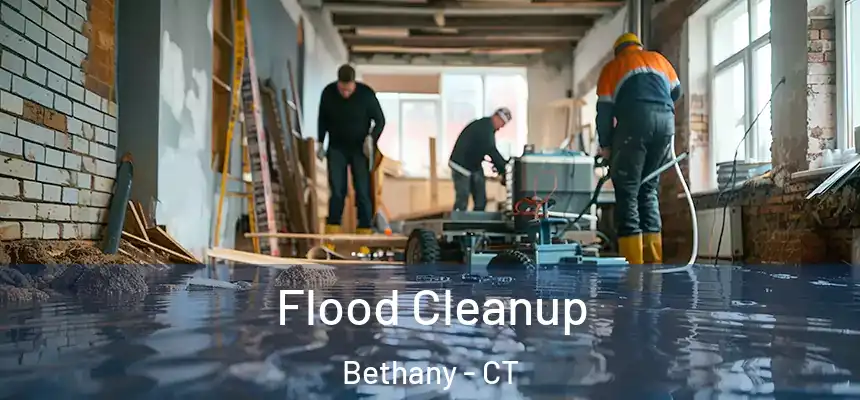  Flood Cleanup Bethany - CT