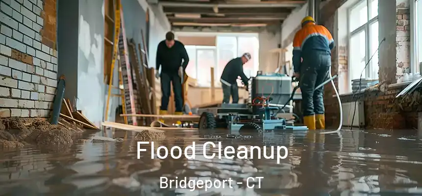  Flood Cleanup Bridgeport - CT
