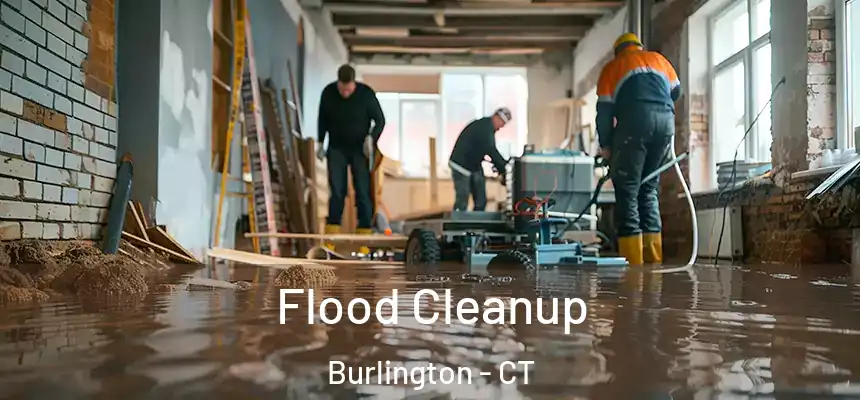  Flood Cleanup Burlington - CT