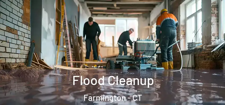  Flood Cleanup Farmington - CT