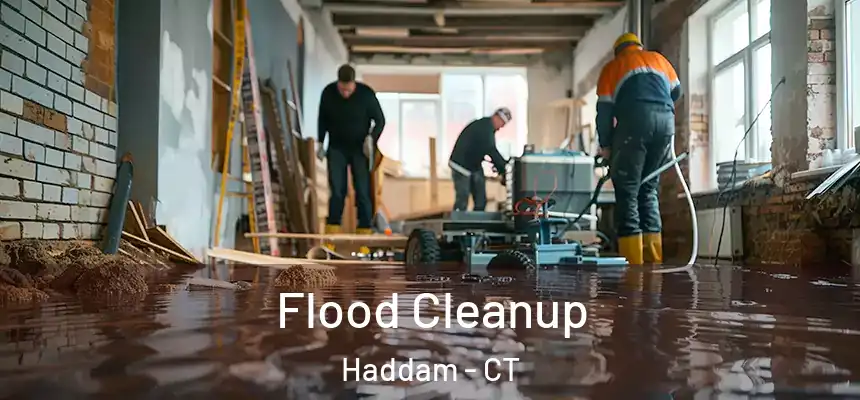  Flood Cleanup Haddam - CT