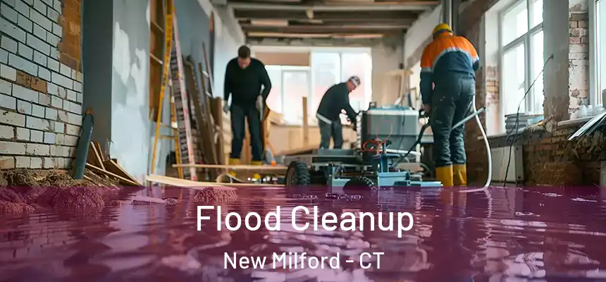  Flood Cleanup New Milford - CT