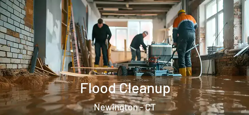  Flood Cleanup Newington - CT