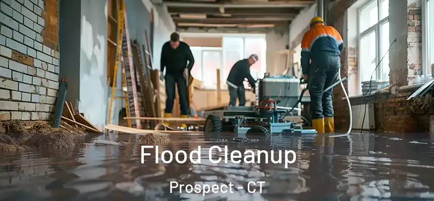  Flood Cleanup Prospect - CT