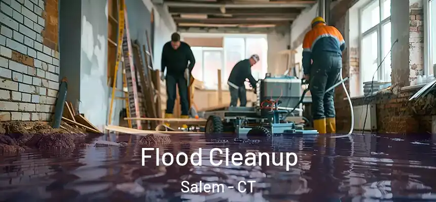 Flood Cleanup Salem - CT