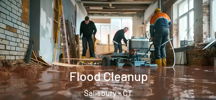  Flood Cleanup Salisbury - CT