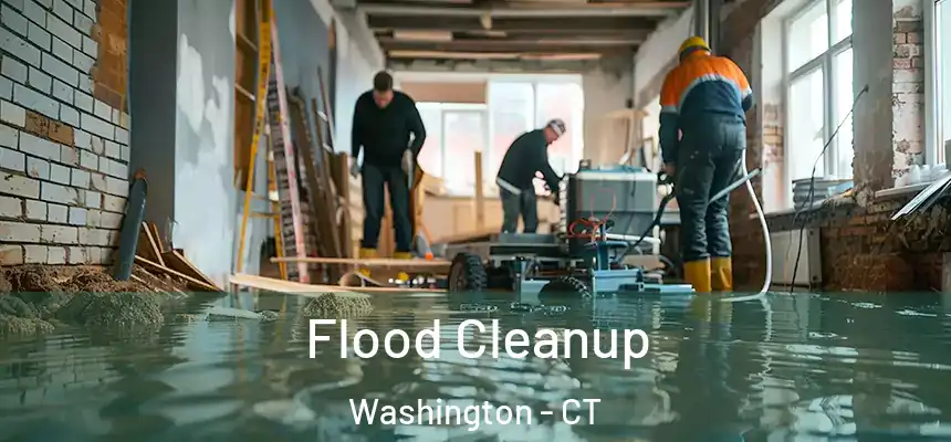  Flood Cleanup Washington - CT