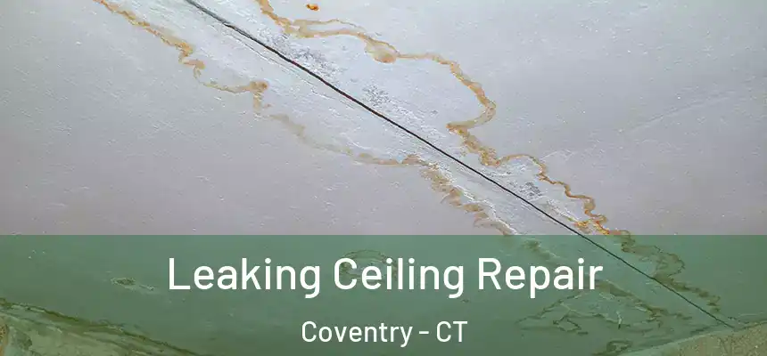  Leaking Ceiling Repair Coventry - CT