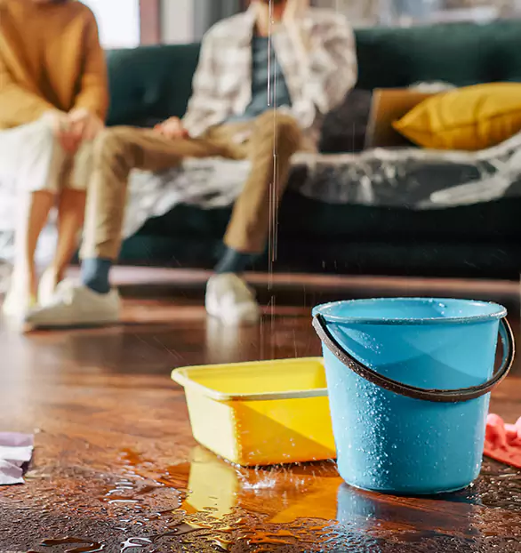 Reliable Water Mitigation Company in Coventry, CT