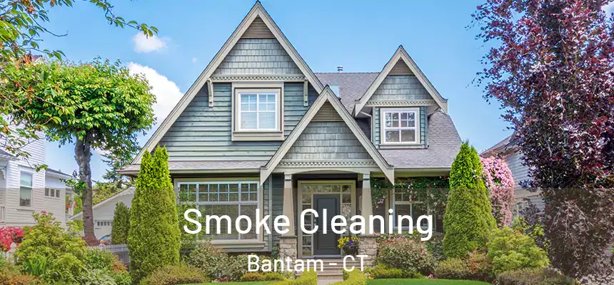 Smoke Cleaning Bantam - CT