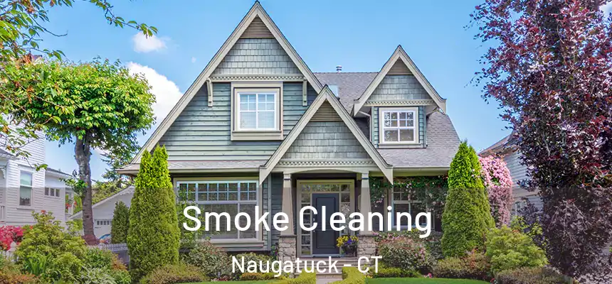  Smoke Cleaning Naugatuck - CT